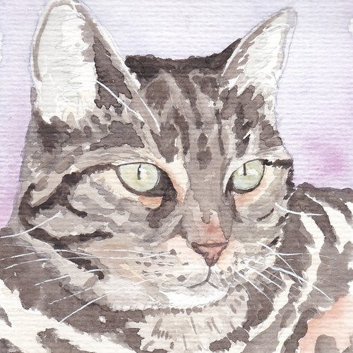 Portrait de votre chat format carte postale sur commande
