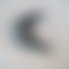 Bouillotte sèche en forme de lune