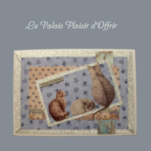 Carte anniversaire homme - trio de chats