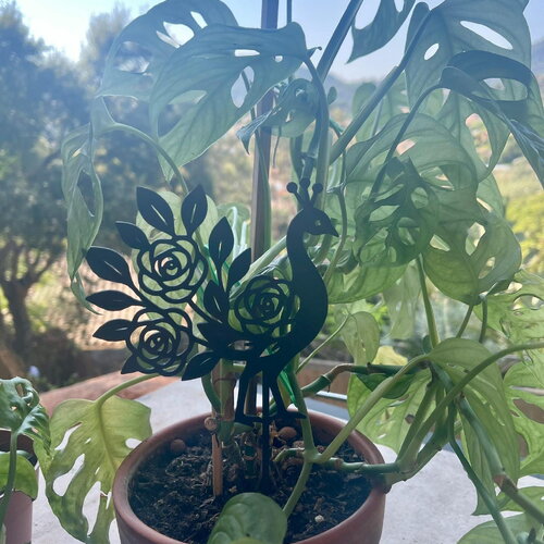 Art mural paon  - déco original wall decor