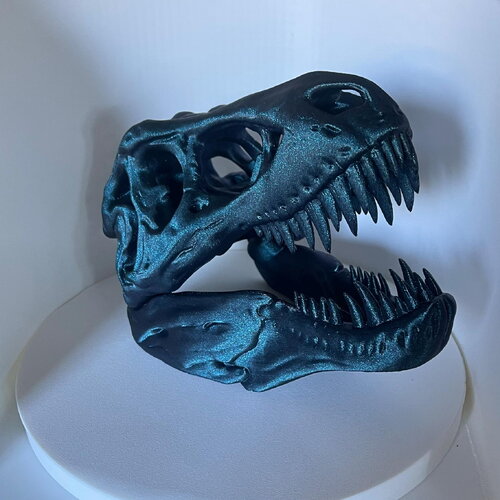 Tete de dracofeu pokemon