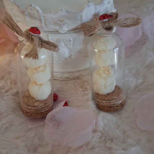 Petite fiole de fondant parfumé 9 g