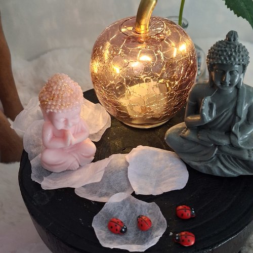 Fondant bouddha senteur fleur de coton 17 g