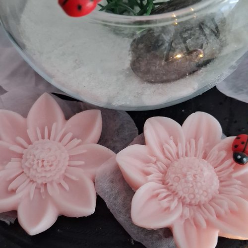 Lot de 2 fondants parfumée fleur de coton forme marguerites