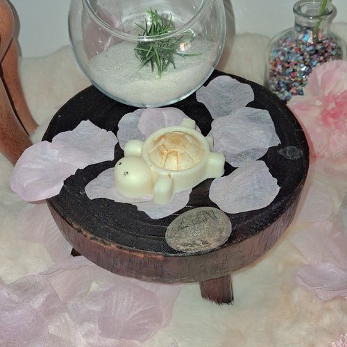 1 tortue fleur de coton poids( 28 g)  cire végétale de soja