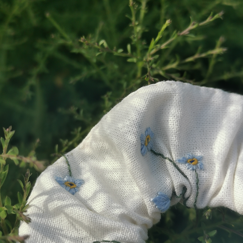 Chouchou myosotis