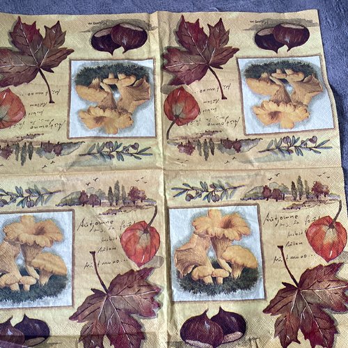 Serviette en papier automne