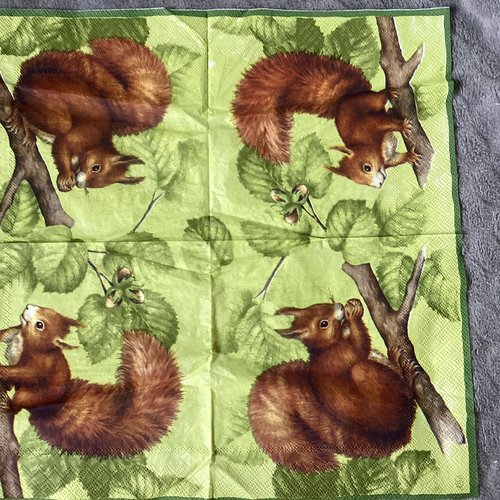 Serviette en papier écureuil