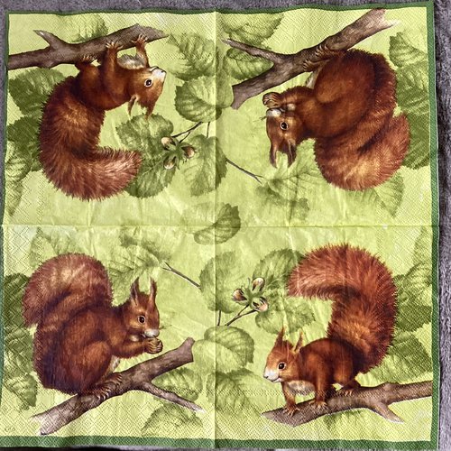 Serviette en papier écureuil