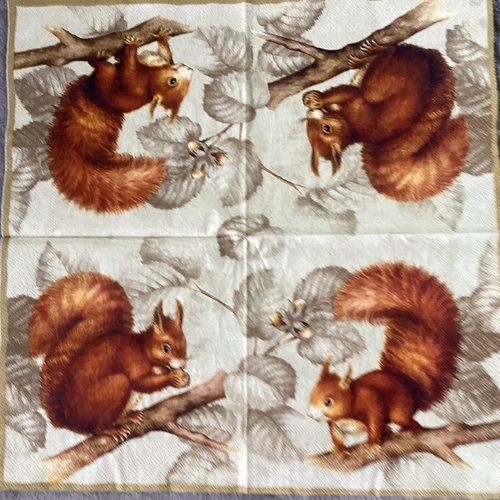 Serviette en papier écureuil