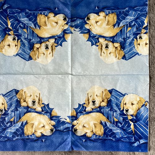 Serviette en papier labrador