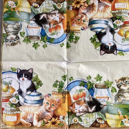 Serviette en papier chats