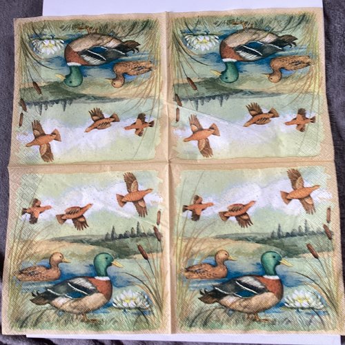 Serviette en papier canards