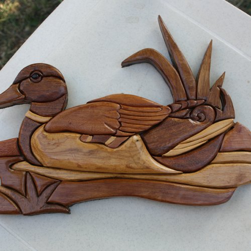 Canard en bois Coloriage Magique - Téléchargez, imprimez maintenant