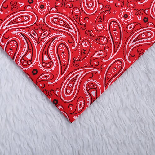 Coupon de tissu fin 70 cm x 90 cm polyester paisley indou ethnique indien cachemire