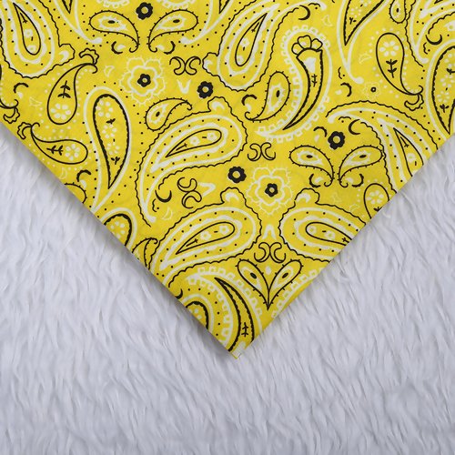 Coupon de tissu 70 cm x 100 cm polyester paisley indou ethnique indien cachemire
