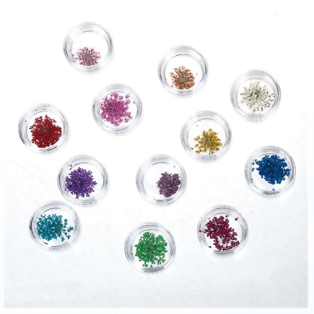 Lot de 12 capsules de fleurs séchée multicolore idéal bijoux résine époxy  ou nail art - Un grand marché