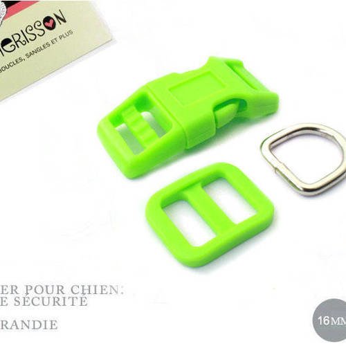 Kit collier pour chien: 16mm / haute qualité / vert flou 