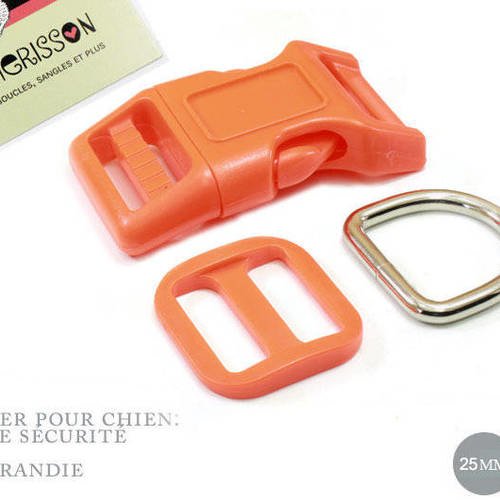 Kit collier pour chien: 25mm orange haute qualité 