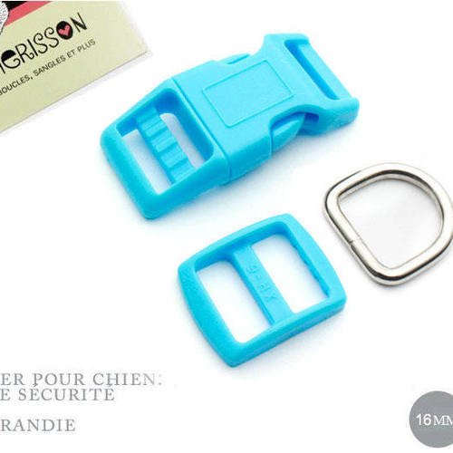 Kit collier pour chien: 16mm / haute qualité / turquoise 