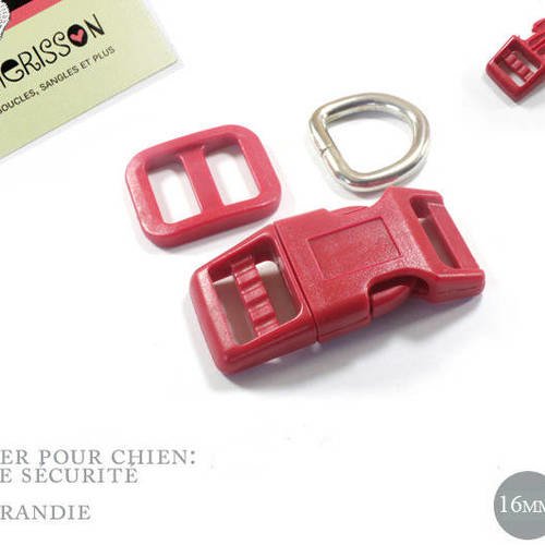 Kit collier pour chien: 16mm rouge haute qualité 