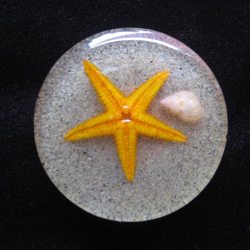 Grande bague ajustable unisexe étoile de mer orange sur fond de sable en résine diamètre 35mm