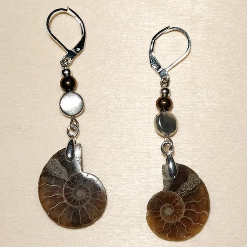Boucles d'oreilles ammonites fossiles