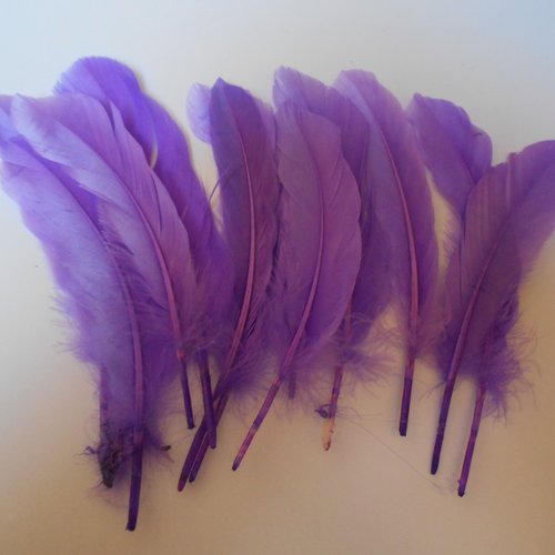 Lot 10 plumes indiennes coloris violet