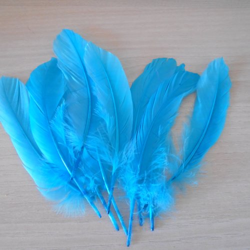 Lot 10 plumes indiennes coloris bleu