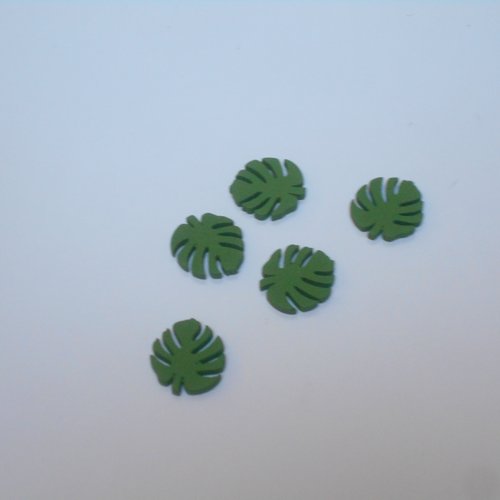 Lot 5 minis feuilles monstera coloris vert menthe