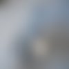 Biais fleurs bleues et blanches sur fond noir