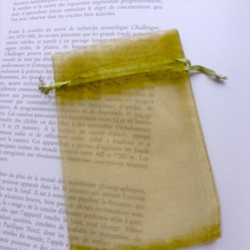 Sachet organza vert-jaune