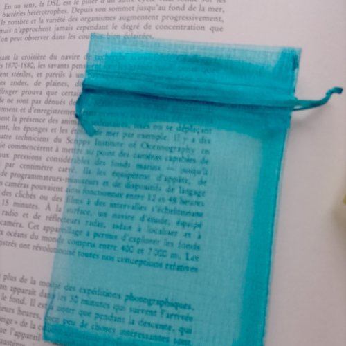 Sachet organza turquoise