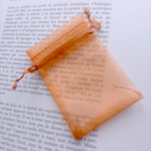 Sachet organza orange