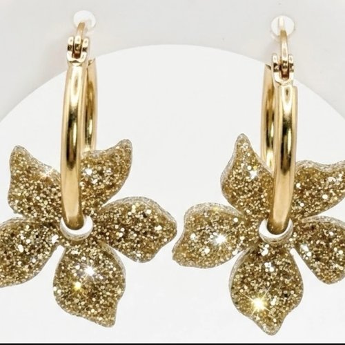 Charms interchangeables avec sa paire de créole