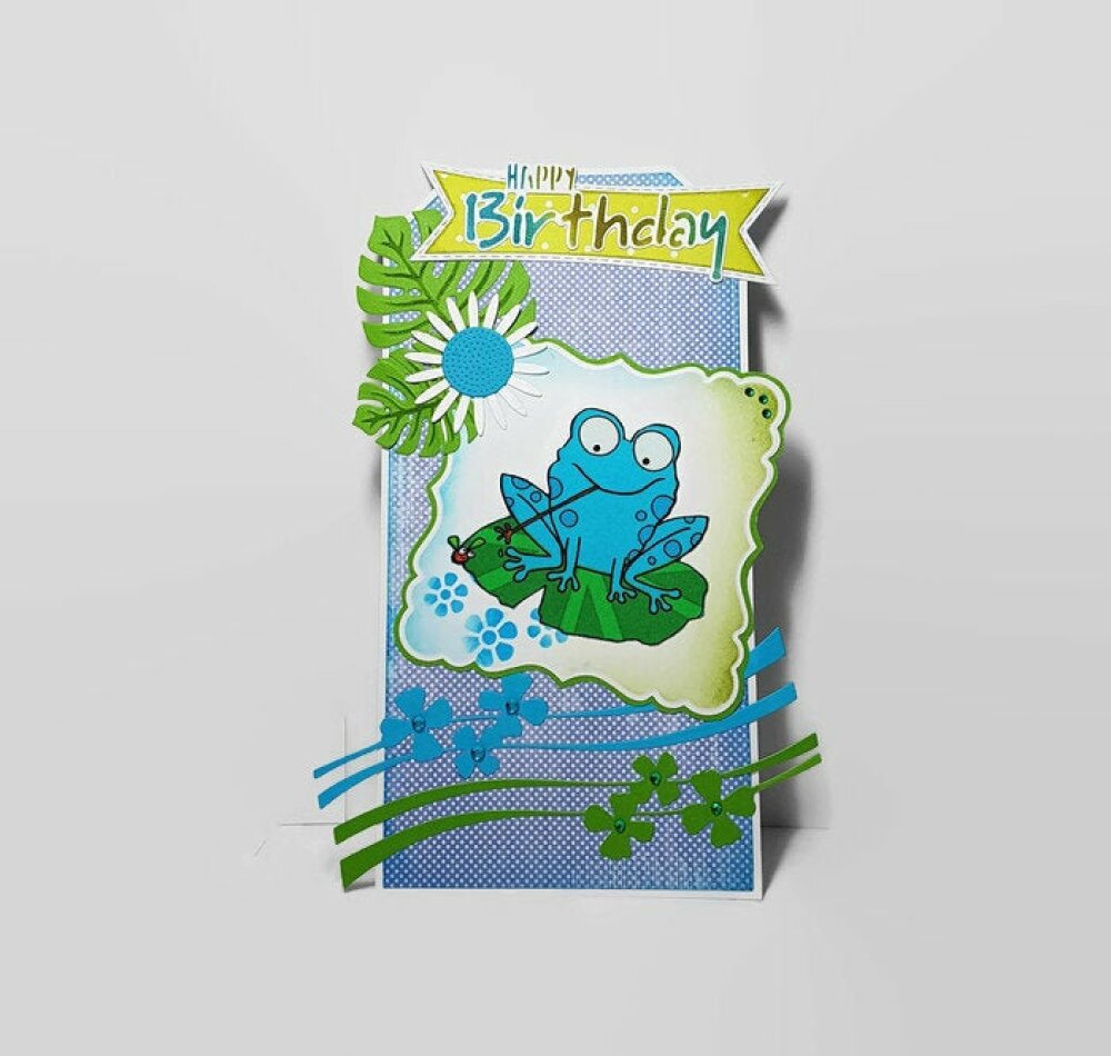 Carte Anniversaire Grenouille Carte Anniversaire Humour Fait Main Carte Femme Fait Main Un Grand Marche