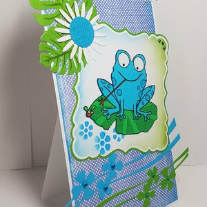 Carte Anniversaire Grenouille Carte Anniversaire Humour Fait Main Carte Femme Fait Main Un Grand Marche