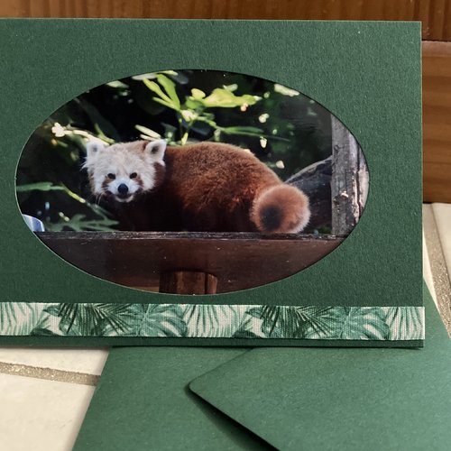 Cartes Panda Un Grand Marche