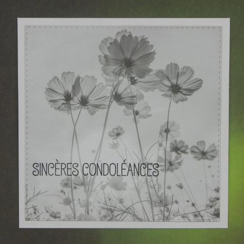 Carte pour condoléances champ de fleurs délicates noir et blanc