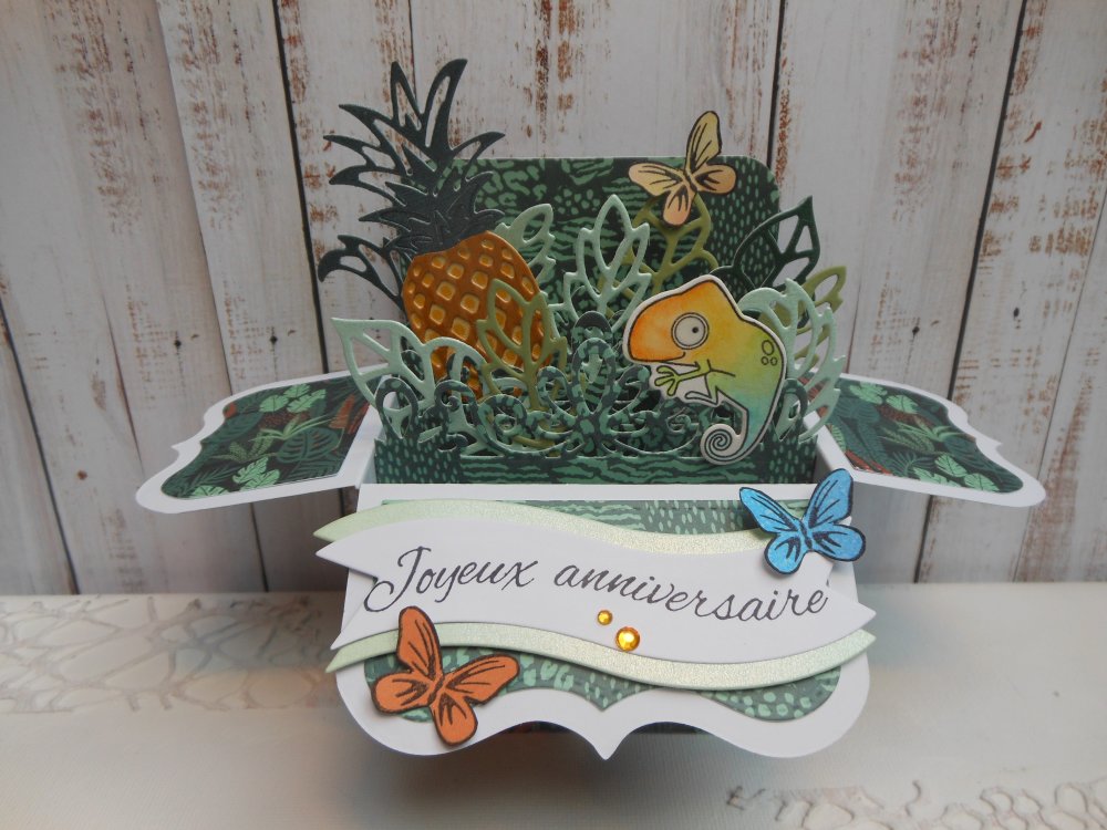 Carte Anniversaire Pop Up Boite 3d Ananas Et Cameleon Arc En Ciel Vert Et Orange Un Grand Marche