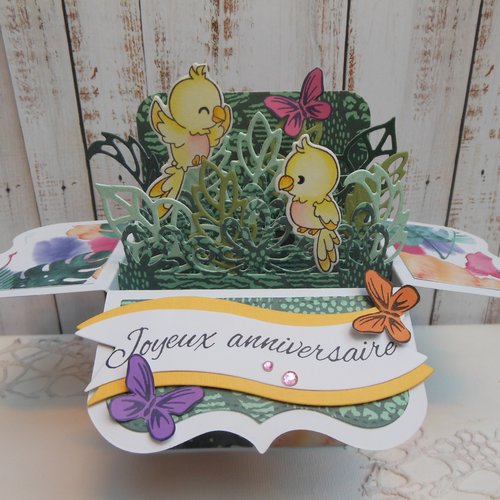 Carte Anniversaire Pop Up Boite Oiseaux Exotiques Et Papillons Jaune Rose Un Grand Marche