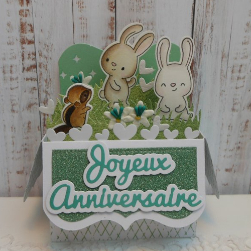 Carte anniversaire pop up boîte 3d lapins vert et blanc bébé enfant garçon fait main