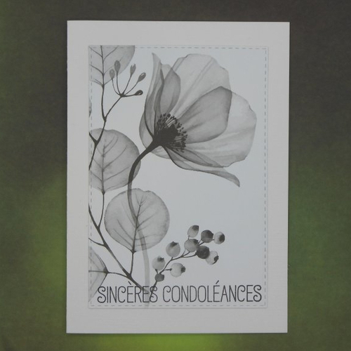 Carte pour condoléances fleur et baies