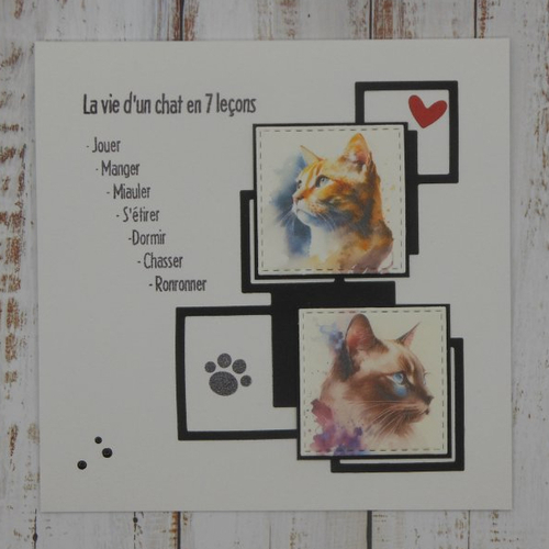 Carte la vie d'un chat en 7 leçons toute occasion anniversaire 2 fait main