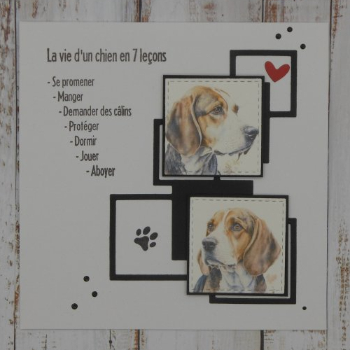 Carte la vie d'un chien beagle en 7 leçons toute occasion anniversaire fait main