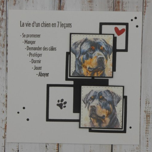 Carte la vie d'un chien rottweiler en 7 leçons toute occasion anniversaire fait main