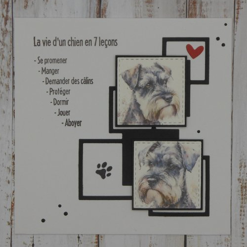 Carte la vie d'un chien terrier en 7 leçons toute occasion anniversaire fait main