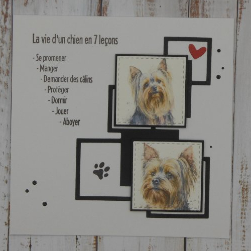 Carte la vie d'un chien yorkshire terrier en 7 leçons toute occasion anniversaire fait main