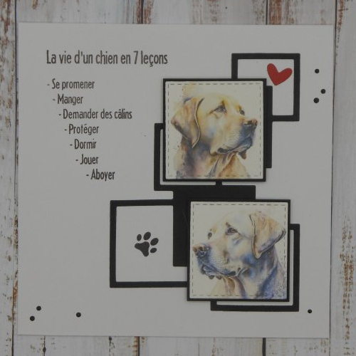 Carte la vie d'un chien labrador en 7 leçons toute occasion anniversaire fait main