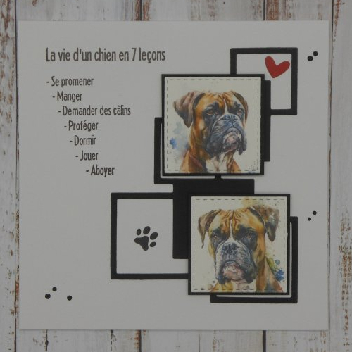 Carte la vie d'un chien boxer en 7 leçons toute occasion anniversaire fait main